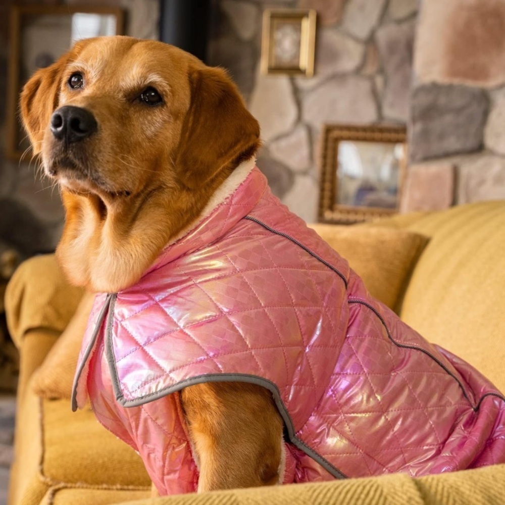 Dog Coat - Picture 3 of 10